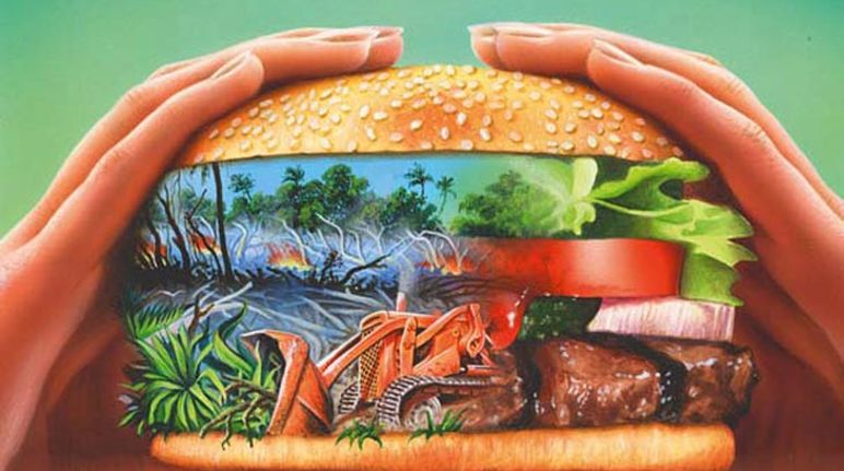 Quanto Ci Vuole Per Aprire Un Mcdonald