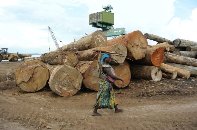 Mucchi di tronchi nel porto di Kinshasa