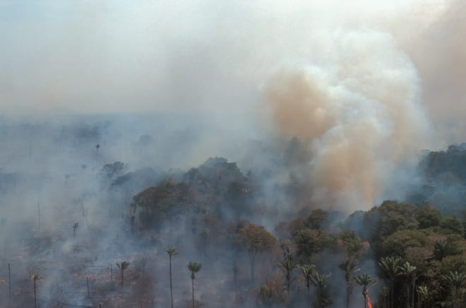 Veduta aerea della foresta amazzonica in fiamme