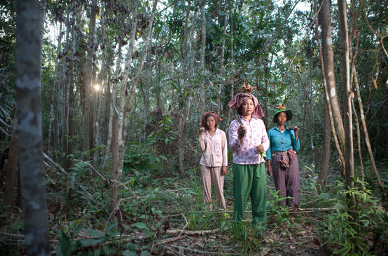 Tre donne indigene in difesa della foresta