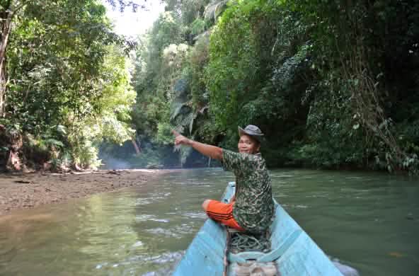 Un uomo su una barca indica la foresta pluviale di Sarawak, nel Borneo.
