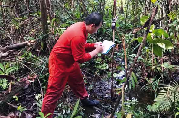 Matek nel processo di mappatura in una foresta di torbiera