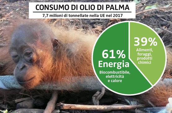CONSUMO DI OLIO DI PALMA 2017