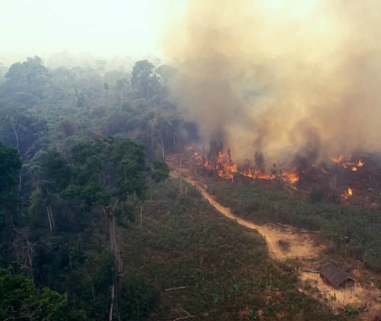 Incendio in Amazzonia Incendio nell’ Amazzonia