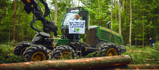 Una protesta contro il taglio della foresta Bialowieza in Polonia