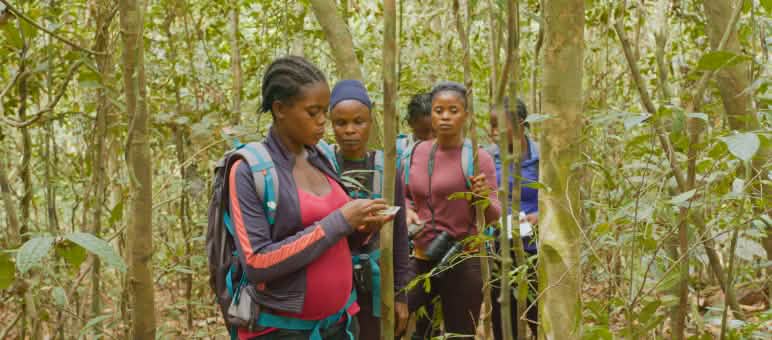 Ecoguardiane di pattuglia nella foresta pluviale della Liberia Ecoguardiane di pattuglia nella foresta pluviale della Liberia
