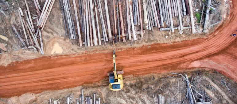 L’azienda Korindo ha tagliato le foreste pluviali per implementare piantagioni di palma da olio a Papua, Indonesia. Foto aerea: Deforestazione per le piantagioni di palma da olio dell’azienda Korindo a Papua