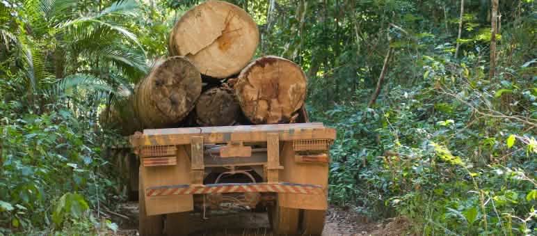 Foto: istockphoto.com