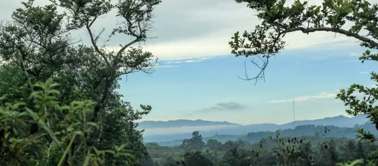 La bioeconomia non deve provocare il saccheggio delle foreste Vista generale della Riserva naturale di Morowali