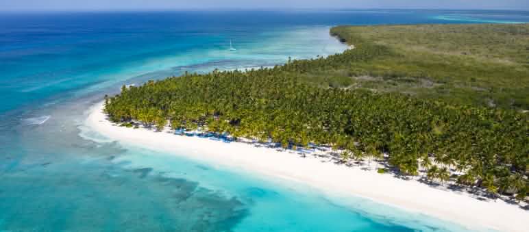 L'isola tropicale di Saona, circondata da barriere coralline, fa parte del Parco Nazionale di Cotubanamá Vista aerea dell'isola di Saona nella Repubblica Dominicana con palme da cocco in mezzo al mar dei Caraibi azzurro cobalto