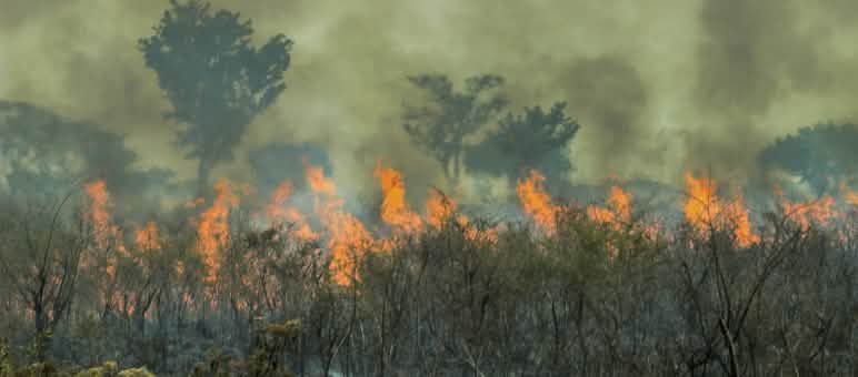 Il trattato UE-Mercosur è una minaccia per le foreste ed il clima Incendi nell'Amazzonia brasiliana