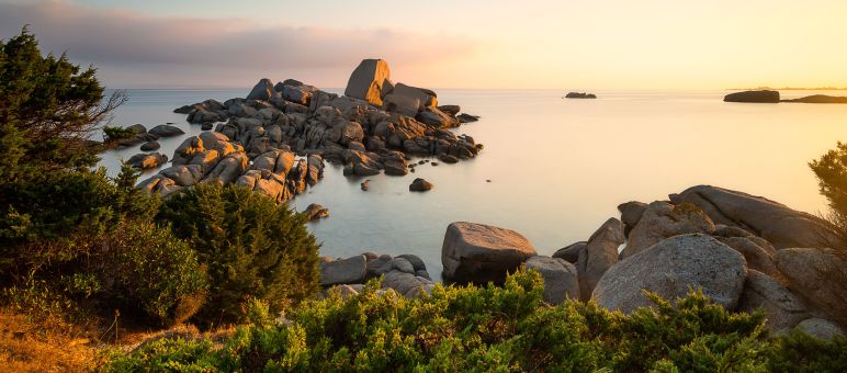 Foresta sempreverde mediterranea in Sardegna - Pexels by Simone Coltri Foresta sempreverde in Sardegna, Italia