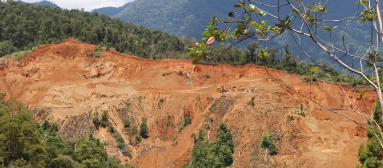 L'estrazione mineraria per la transizione energetica distrugge le foreste pluviali
