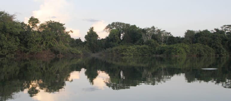 Panorama dell'ecosistema di Xingu, nell'Amazzonia brasiliana. Fiume Xingu