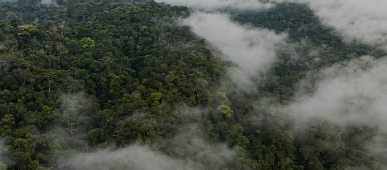 La conservazione dello Yasuní assume un'importanza globale in tempi di cambiamenti climatici Veduta aerea di Yasuní, punteggiata di nubi