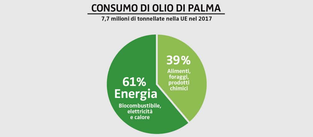 Consumo di olio di palma nel 2017 nella UE Consumo di olio di palma nella UE nel 2017