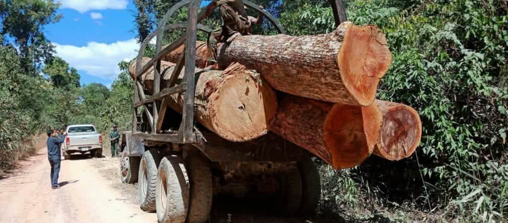 Furto di legno in Cambogia Furto di legno in Cambogia