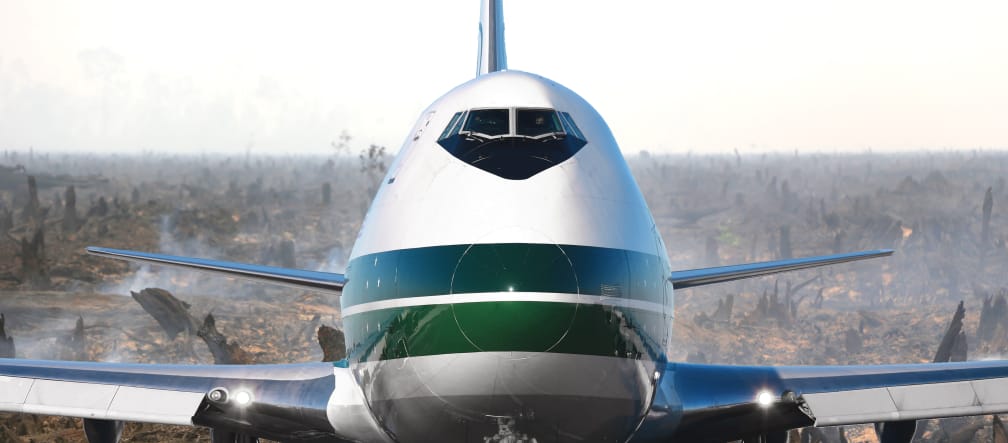 Ovviamente, volare non è "neutrale" per il clima Aeroplano sopra una foresta distrutta