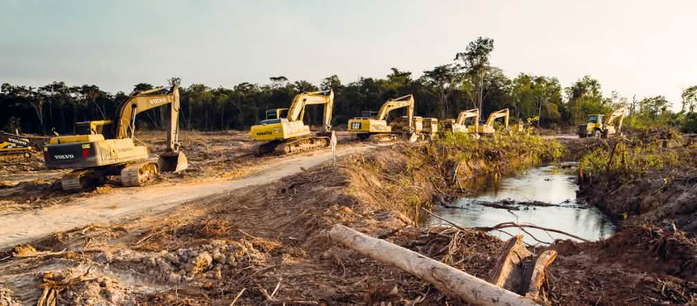 I bulldozer in fila indiana entrano nella foresta Le escavatrici in fila indiana entrano nella foresta