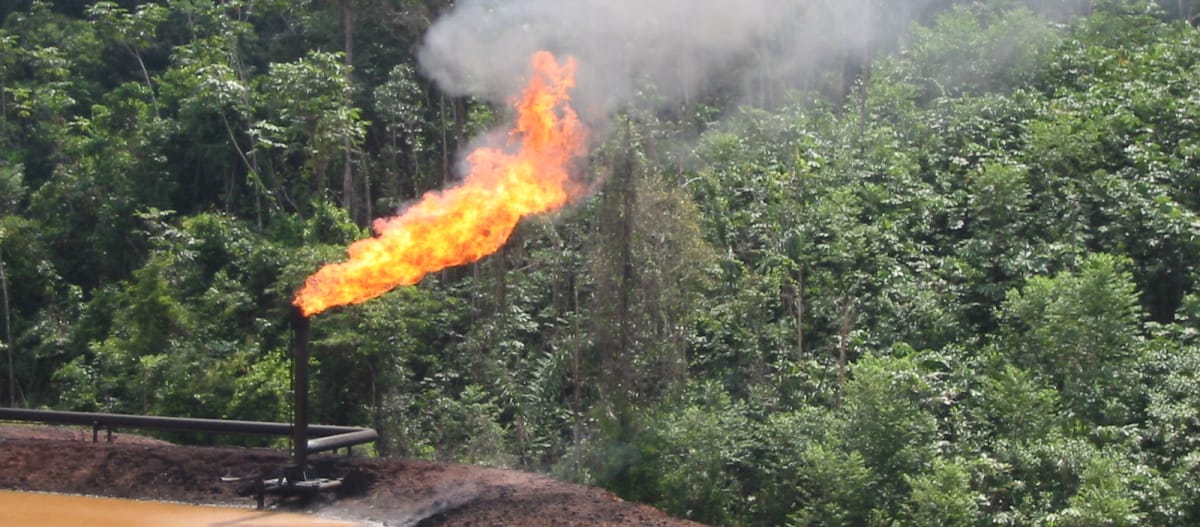 Degrado ambientale per la produzione di petrolio in Ecuador