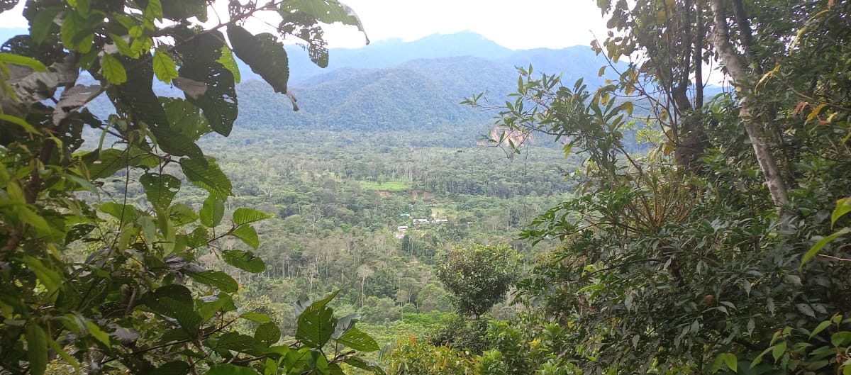 Vista panoramica dell'Alto Napo, con la pianura della foresta amazzonica e le montagne sullo sfondo.