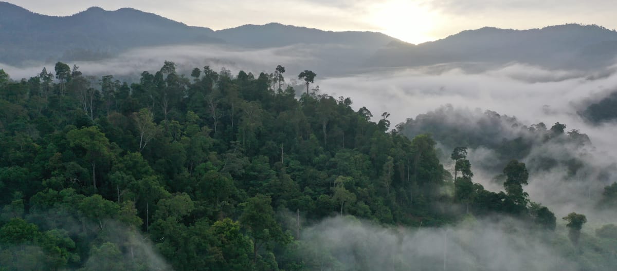 Vista sulle montagne Gayo, ricoperte di foreste nuvolose