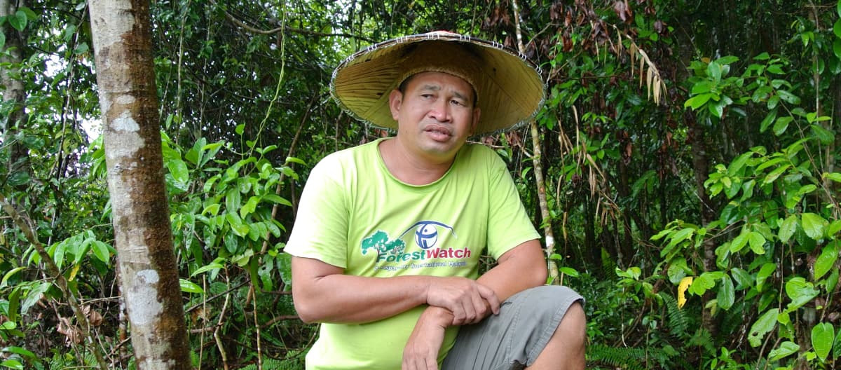 Matek Geram a Sarawak, Malesia
