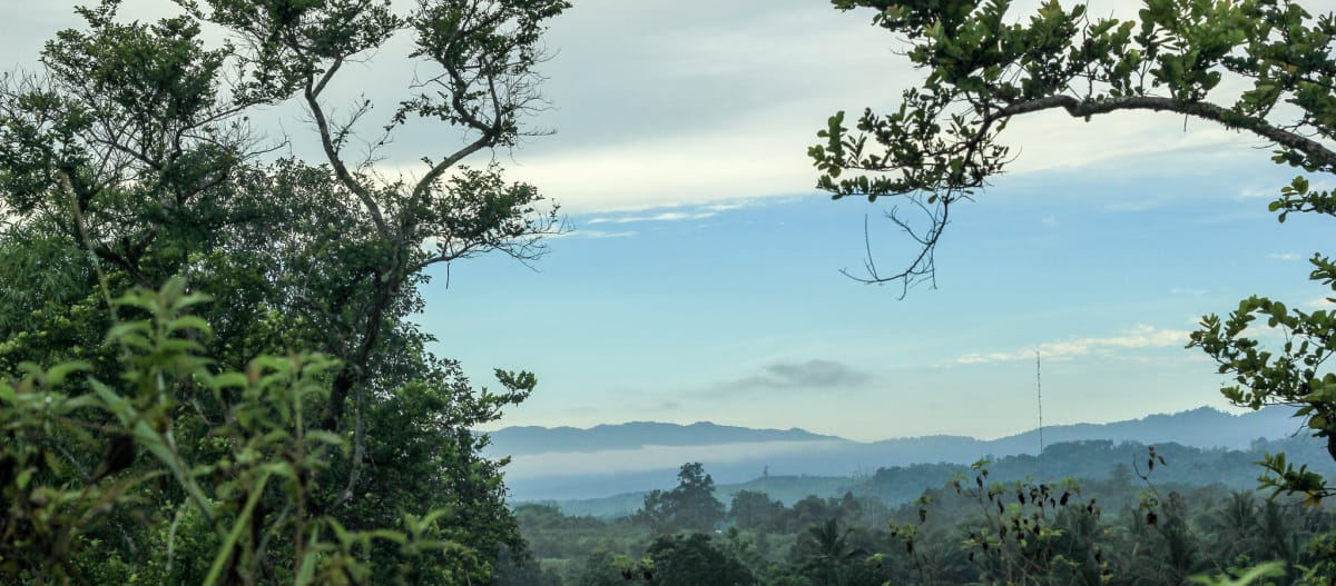 Vista generale della Riserva naturale di Morowali