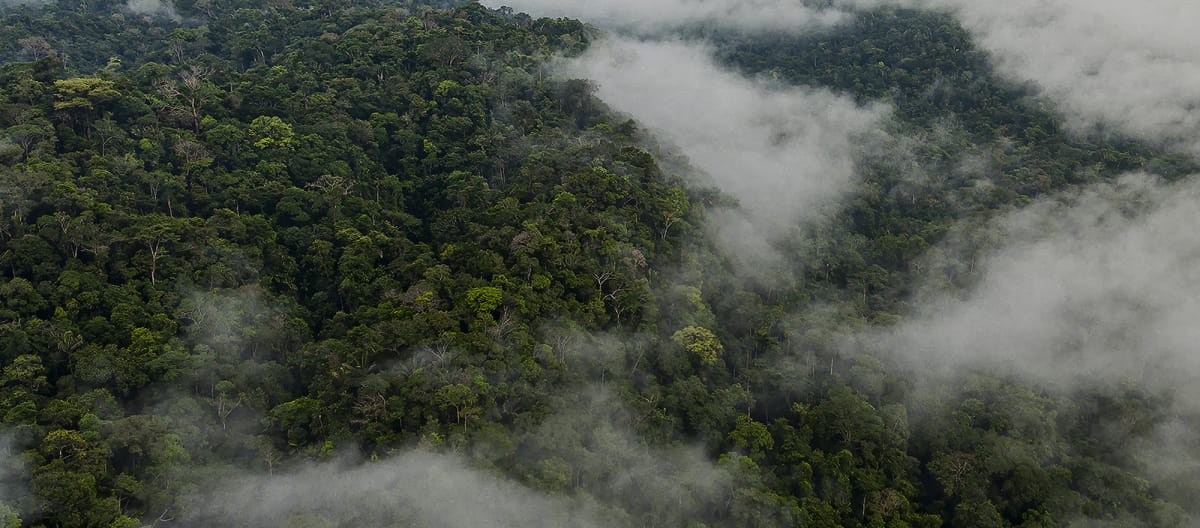 Veduta aerea di Yasuní, punteggiata di nubi