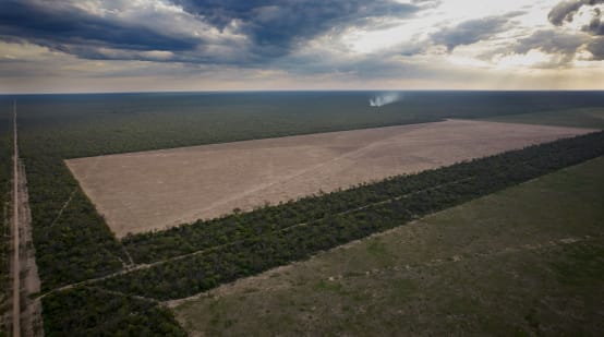 La deforestazione del Chaco nella provincia del Chaco, Argentina