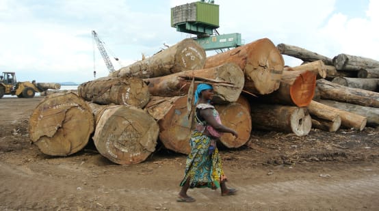 Mucchi di tronchi nel porto di Kinshasa