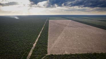 Veduta aerea della deforestazione di una vasta area di foresta nativa nella provincia del Chaco, in Argentina.