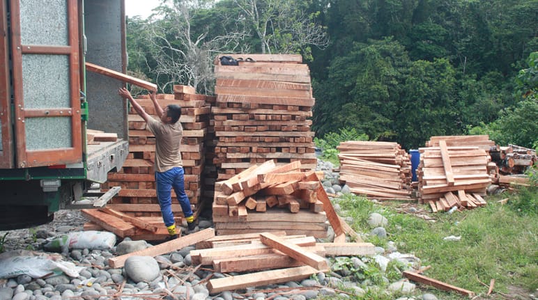 Ecuador: si all'energia eolica ma senza sacrificare le foreste - Salviamo  la foresta