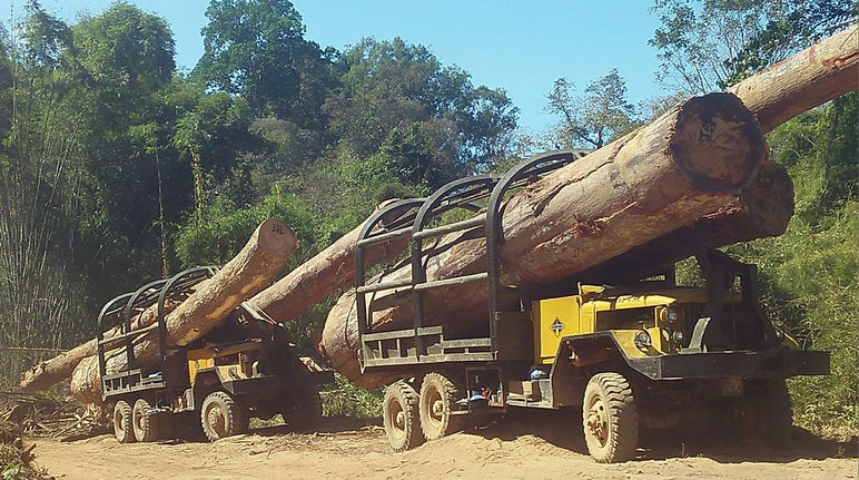 Camion per il contrabbando di legno dalla Cambogia verso Vietnam