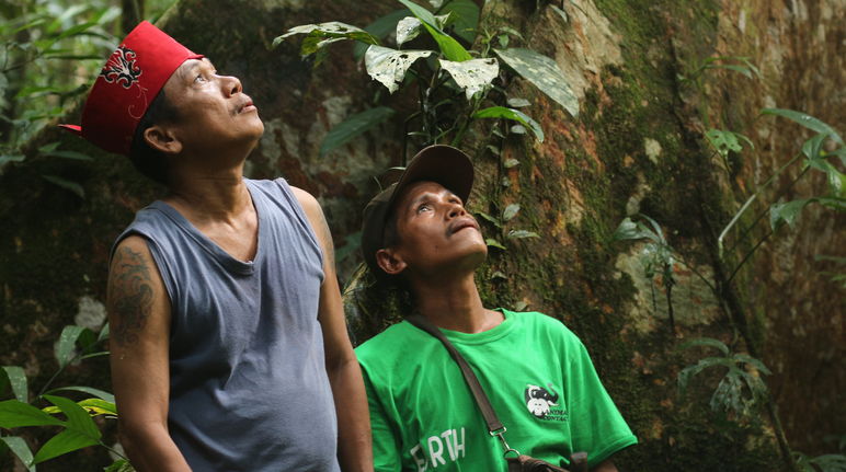 Integranti indigeni Dayak Tomun nella foresta Kinipan