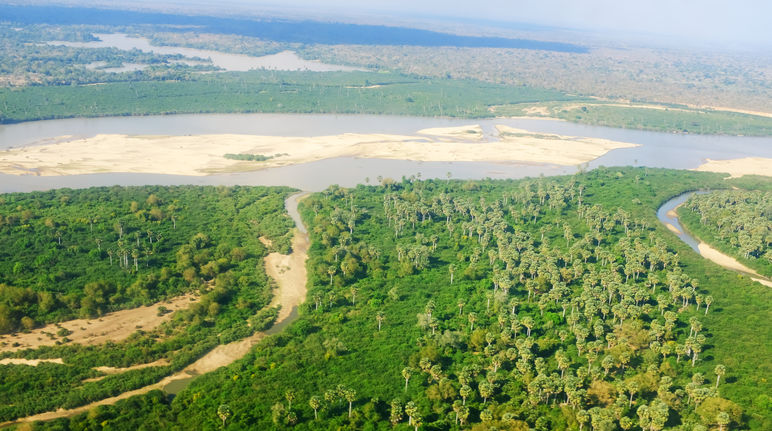 Foto aerea del fiume Rufiji nella riserva di Selous in Tanzania.
