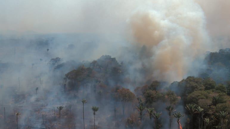 Veduta aerea della foresta amazzonica in fiamme