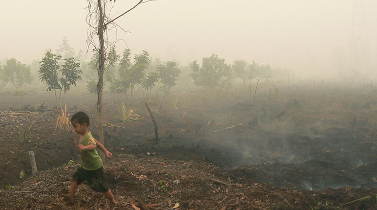 Bambino che cammina su una torbiera in fiamme a Katingan, Borneo