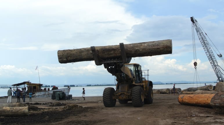 Carico di legname al porto di Kinshasa