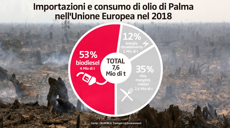Importazioni e consumo di olio di Palma nell'Unione Europea nel 2018