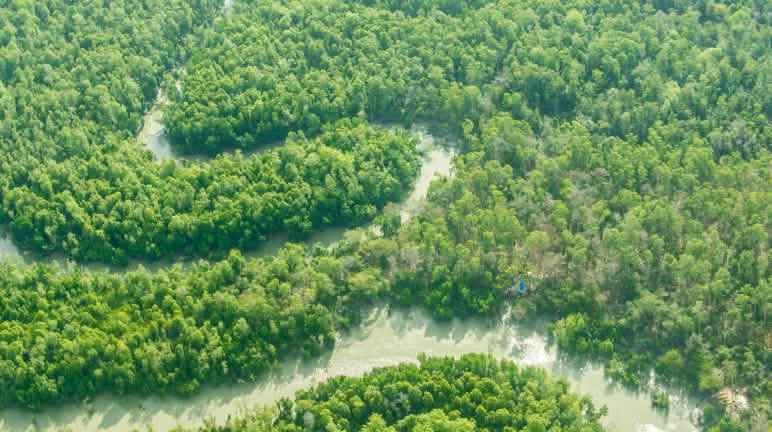 Il fiume Digoel, lungo 500 km, sfocia in mare a Merauke. Un fiume serpeggia nella foresta pluviale