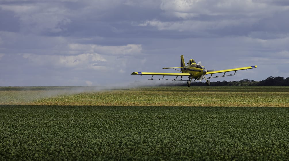 Irrorazione aerea di pesticidi sulle monocolture di soia