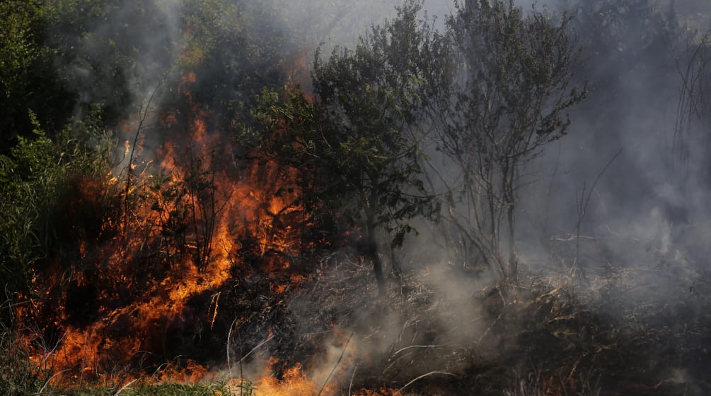 Incendio nella provincia del Chaco, Argentina