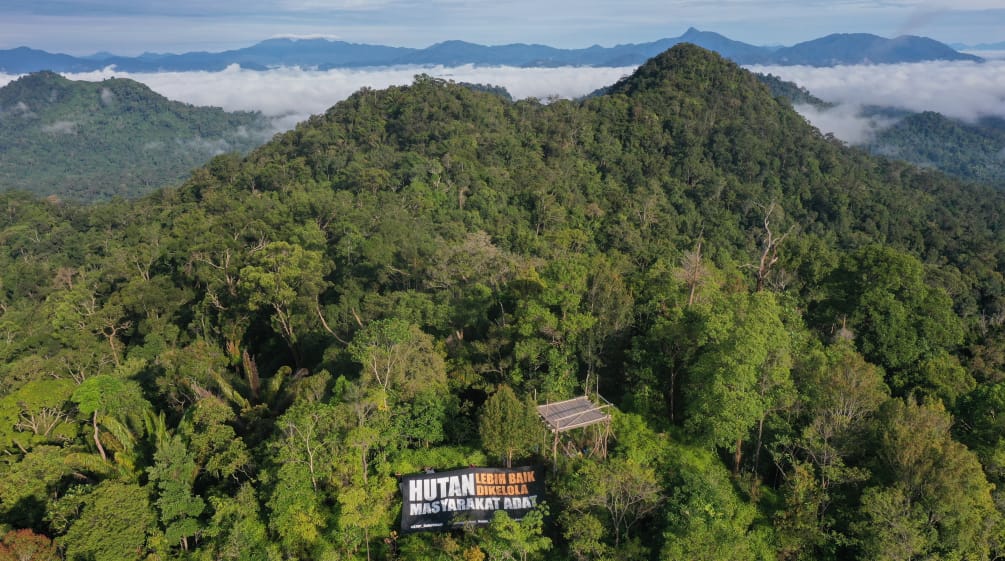 Striscione di Save Our Borneo visto da lontano