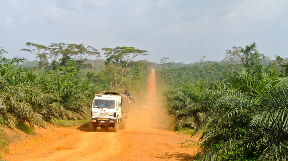 Un camion attraversa una piantagione di palma da olio in Liberia