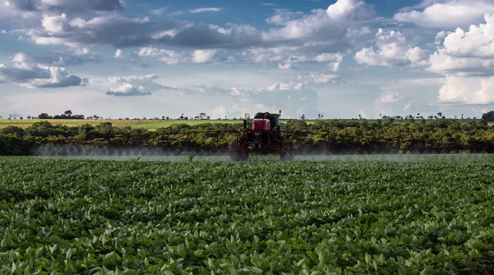 Irrorazione di veleno con trattore in una monocoltura di soia