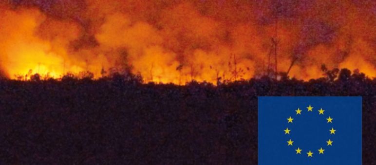 Distruggere per consumare Un incendio di una foresta
