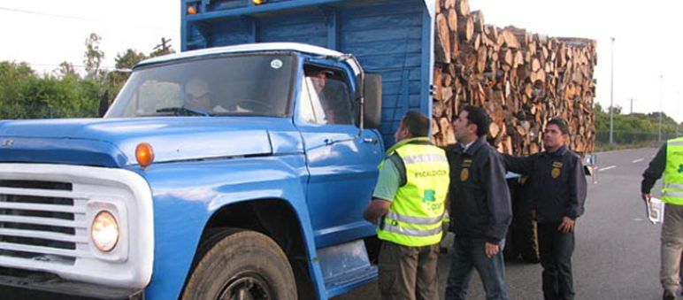 Agenti di polizia ispezionano un camion carico di legname Tre agenti di polizia , hanno fermato un grande camion carico di legname per ispezionarlo