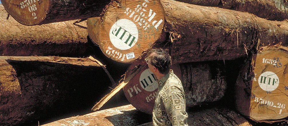 Deforestazione per legname FSC Tronchi di legno marchiati
