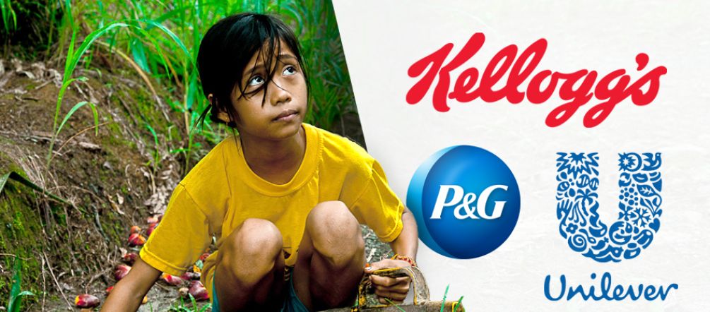 Spesso i bambini devono aiutare i genitori nelle piantagioni per raggiungere obiettivi di produzione spropositati Una bambina in una piantagione di palma da olio guarda con ansia in direzione dei logo di Kellogg’s, Nestle, Unilever e Procter & Gamble